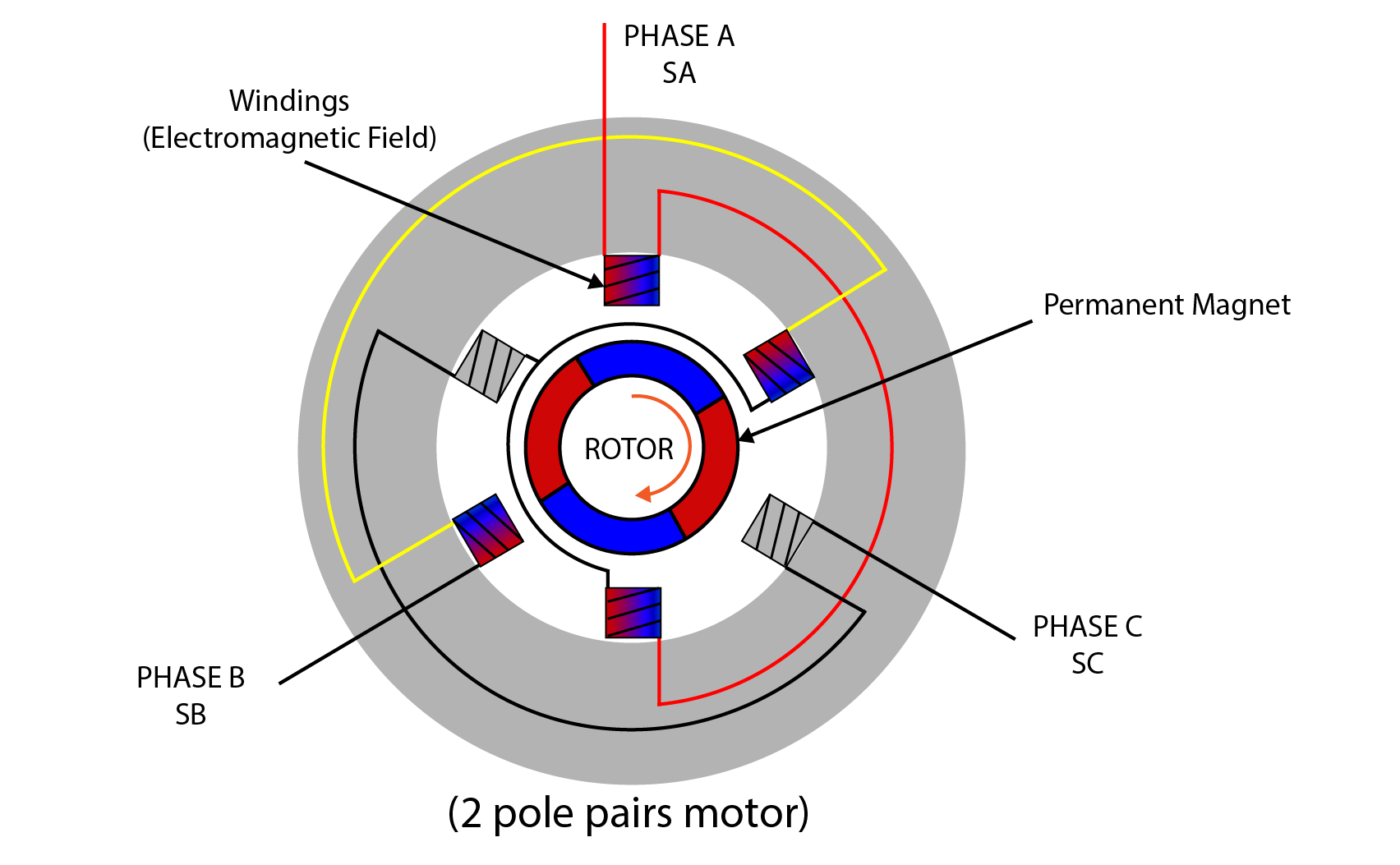 Brushless DC Motor